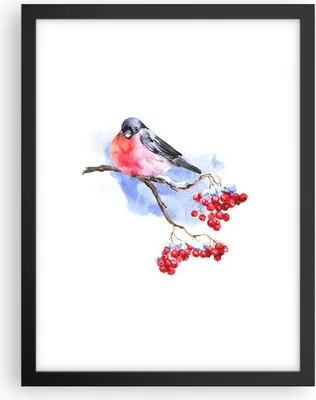 Produktbild von Gerahmtes Poster - Schwarzer Rahmen - Dompfaff auf Zweig - 30x40 cm - Wand Bild - Wanddeko - Wandbilder - Kunstposter - Wandposter - Bilderrahmen - Bilder - Kunstdruck - Wandbild - P2BPA30x40-4187