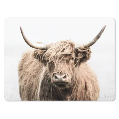 Produktbild von MuchoWow® Mauspad Mousepad Schottischer Highlander - Tiere - Fell 23x19 cm - Mousepads - Maus Mat - Pad - Mausunterlage - Schreibtischunterlage - Mauspad