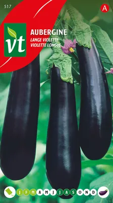 Produktbild von Aubergine Langes Veilchen Samen - Ca. 1 gr | VT_517
