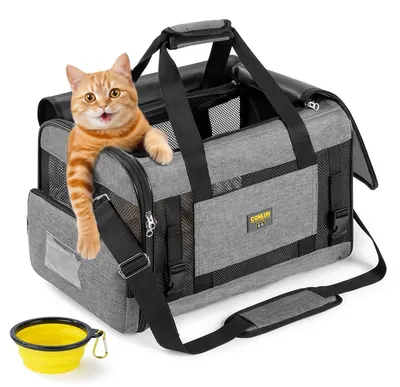 Produktbild von Transportbox Katzenbox Haustierbox - 43 x 28 x 28 cm - Bis 7,5 kg - Faltbar - Für Flugreisen