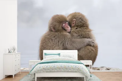Produktbild von MuchoWow® Fototapete für Wohnzimmer oder Schlafzimmer Wandtapete Vinyl Motivtapete Affen - Kuscheln - Freundschaft - 600x400 cm - Vinyltapeten