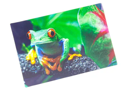 Produktbild von 3 D Ansichtskarte Frosch, Postkarte Wackelkarte Hologrammkarte Tiere Tier Frösche