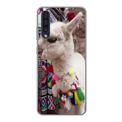 Produktbild von MuchoWow® Handyhülle Schutzhülle Hülle für Samsung Galaxy A30s Alpaka - Halskette - Farben Silikon Softcase Handy Hülle - Karteninhaber