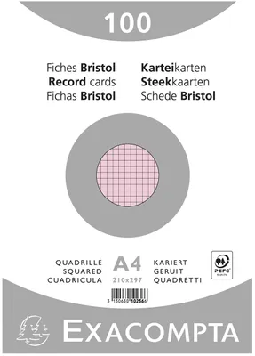 Immagine prodotto di Schede a scacchi DIN A4 100 pezzi in confezione termoretraibile - Rosa