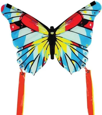 Productafbeelding van Kleine vogelvormige modelvliegtuig - Speelgoedvliegtuig voor kinderen - Speelgoed voor buiten, geschikt voor de boerderij - Snel op te zetten - Vleugels met een spanwijdte van 38 centimeter - Opvallende, kleurrijke uitvoering