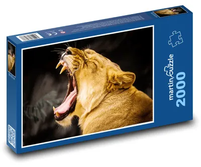 Obrázek produktu pro martinpuzzle - Puzzle 2000 - Zívající lvice