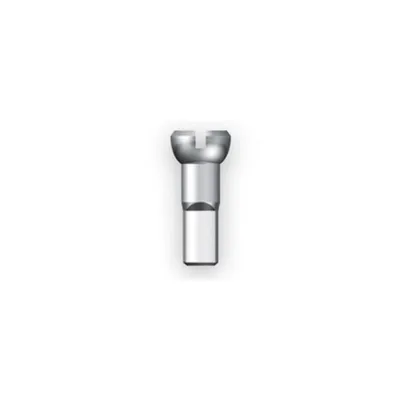 Produktbild von Sapim Spaak Nippel 13 g etwa 14,5 mm Silber (100.)