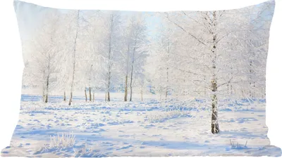 Produktbild von MuchoWow® Zierkissen Sofakissen Wohnzimmer Dekokissen 60x40 cm Schnee - Bäume - Winter - Kopfkissen - Polster mit Foto