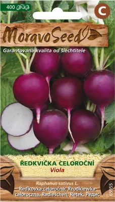 Immagine prodotto di Ravanello VIOLA, rotondo viola 65955