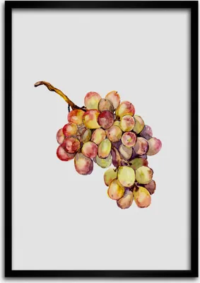 Produktbild von Bild - Bilderrahmen - Foto - 70 cm x 100 cm - MDF - Rahmen - Wandkunst - Trauben