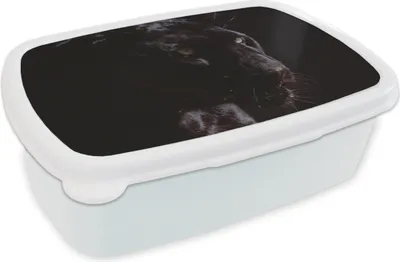 Produktbild von KitchenYeah® Lunchbox Brotzeit Brotdose 17x11 cm Panther - Tier - Schwarz Kinder Brotzeitdose - Lunch Box - Kinder - Sandwich-Box - Schulbox - Lunch Boxen