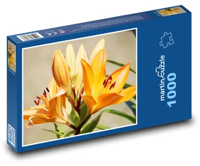 Produktbild von Puzzle 1000 Die Schönheit der orangefarbenen Lilien - martinpuzzle