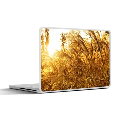Produktbild von MuchoWow® Laptop Aufkleber Sticker Cover Pampasgras - Sonne - Gras 32.5x23.5 cm - Sticker für Laptop - Selbstklebend