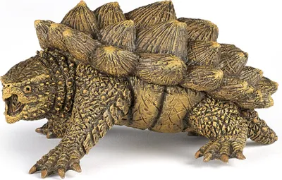 Produktbild von Papo Geierschildkröte, 94 g