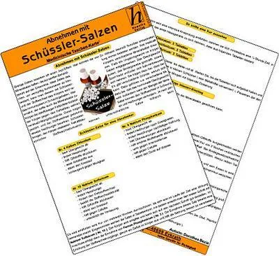 Zdjęcie produktu dla Abnehmen mit Schüssler-Salzen - Medizinische Taschen-Karte