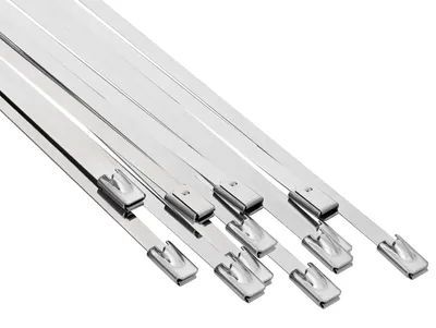 Produktbild von vidaXL Kabelbinder 12 stk. 4,6 x 150 mm Silber