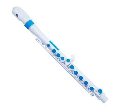 Image de NUVO NUJF220BL Instrument à vent hybride bleu/blanc