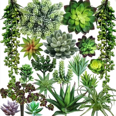 Image de Plantes artificielles pour la décoration intérieure, eucalyptus suspendu