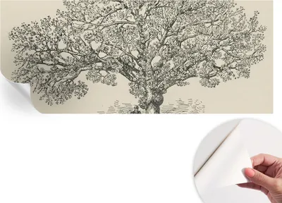 Produktbild von Selbstklebende Wandtapete - Dekorative Tapete für Wohnzimmer - Klebefolie für Wandbilder - Tapetenfolie für Wanddekoration - 208x146 cm - Baumillustration