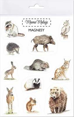 Image de Aimants animaux de la forêt