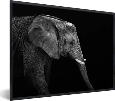 Produktbild von MuchoWow® Gerahmtes Poster Elefant - Schwarz und weiß - Porträt - Tiere 40x30 cm - Poster mit Schwarzem Bilderrahmen Wandposter Rahmen Foto Bilder - Kunstposter - Wanddekorationen