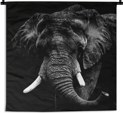 Produktbild von MuchoWow® Wandteppich Wandbehang Elefant - Tiere - Zähne - Schwarz - Weiß 150x150 cm Tapisserie Dekoration Wandtuch - Wohnaccessoires - Modernes