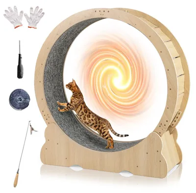 Image de FANTASK, roue d'exercice pour chats, diamètre intérieur de 101 cm, roue en bois avec système de verrouillage