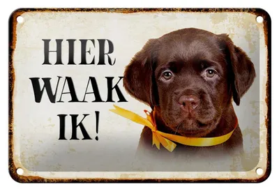 Produktbild von Blechschild Spruch 18x12cm holländisch Hier Waak ik Labrador Puppy Dekoration
