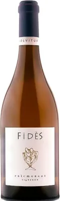 Image de Domaine Eric Morgat Savennières Morgat Fidès 2019 vin blanc France AOC Anjou 75.00 cl 13.5 %