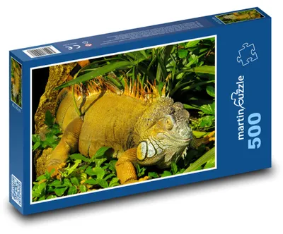 Obrázok produktu pre Puzzle 500 Leguán v tropickej zeleni - martinpuzzle