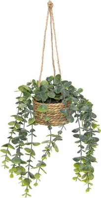 Produktbild von Künstliche hängepflanze "patri" h47cm  - Atmosphera créateur d'intérieur
