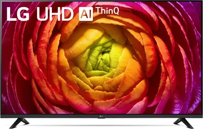 A television screen displaying a colorful floral image.