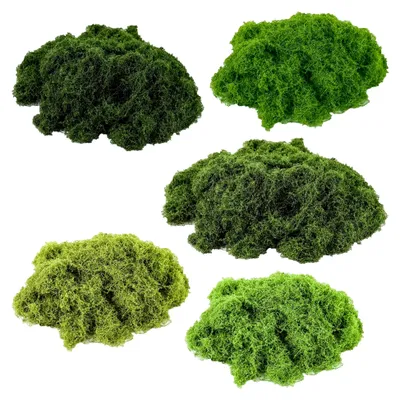 Produktbild von Islandmoos, Moosbild, Moos zum Basteln, 5 verschiedene Moosarten, Deko-Moos, Kunstmoos, konserviertes Moos, 150g