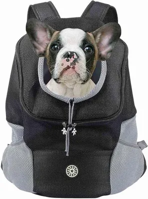 Productafbeelding van Famanu rugzak voor honden en katten - ademend, verstelbaar, zwart, maat S