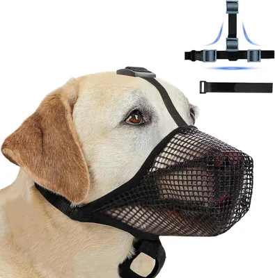 Imagen del producto de Boca para perro, transpirable, talla M, para entrenamiento