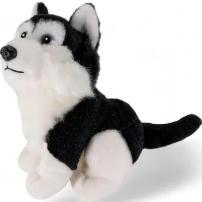 Zdjęcie produktu dla Carl Dick Husky, czarny, siedzący, pies, ok. 16 cm 1672004 Przytulanka, miękka zabawka, przytulanka