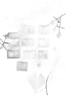 Immagine prodotto di Set decorativo con magneti a forma di farfalla