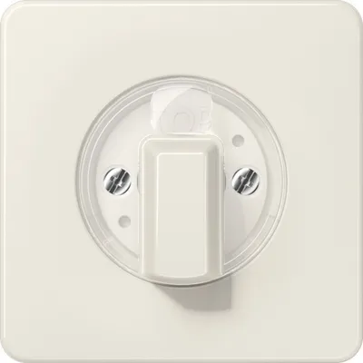 Immagine prodotto di Copertura Jung CD 1541 CD1541