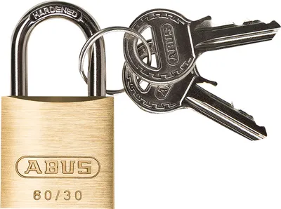 Produktbild von Elora Vorhängeschloss ELORA-256