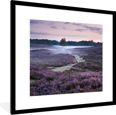 Produktbild von MuchoWow® Gerahmtes Poster Nebel im Heidekraut 40x40 cm - Poster mit Schwarzem Bilderrahmen Wandposter Rahmen Foto Bilder - Poster - Plakat im Rahmen