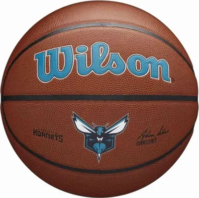 Immagine prodotto di Wilson Palloni Team Alliance Charlotte Hornets, WTB3100XBCHA