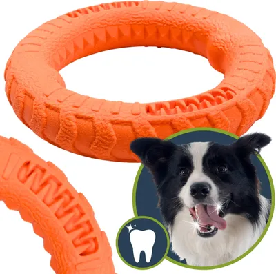 Obrázek produktu pro Dentální hračka pro psy, ŽVÝKACÍ HRAČKA na aportování, NA HÁZÁNÍ, na čištění zubů 17 cm