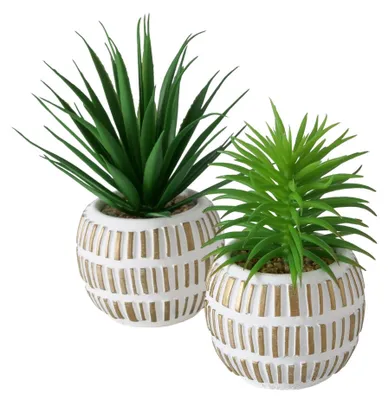 Immagine prodotto di Boltze Home Pianta artificiale succulenta H13,3 cm