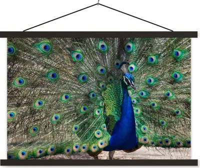 Produktbild von MuchoWow® Textilposter Pfauenfedern - Blau - Vogel 120x80 cm mit schwarzem Rahmen - Wanddeko