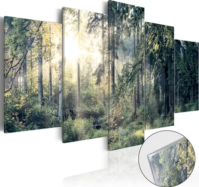 Produktbild von Neuheit! Modernes Acrylglasbild Wanbild c-C-0033-k-p (200x100) - 5 Teilig Bilder Foto Bild Dekoration Wand Bilder Kunstdruck NATUR WALD