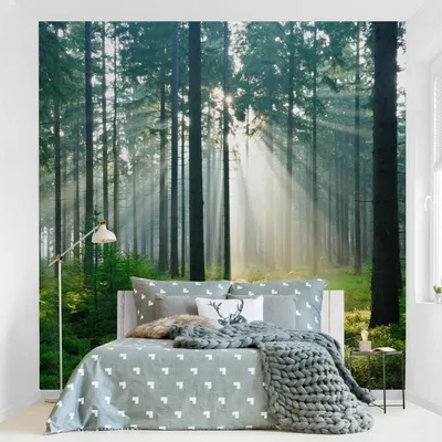 Produktbild von Fototapete Wald - Vliestapete - Bildtapete UV-beständig Design grün Motiv Wandtapete geruchsfrei
