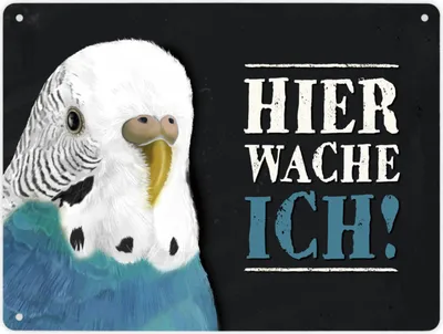 Produktbild von Hier wache ich! Metallschild XL mit Wellensittich blau Motiv Schild
