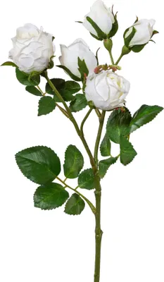 Produktbild von GASPER Polyantharose Weiß Blüten & Knospen 38 cm - Kunstblumen