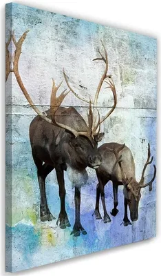 Produktbild von Leinwandbild hirsche und rentiere im winter 70x100 cm Feeby blau wandbild bereit zum aufhängen