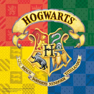 Produktbild von Procos 93366 - Papierové obrúsky Harry Potter, 25x25 cm, Mix, detská narodeninová oslava, párty riad